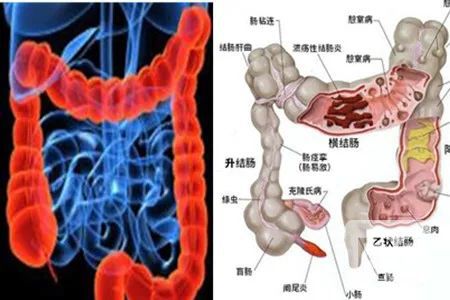山西肛泰肛肠医院：便秘的主要危害有哪些