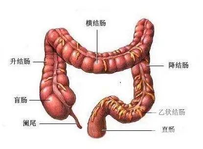 山西肛泰肛肠医院：直肠炎的常见症状是什么？